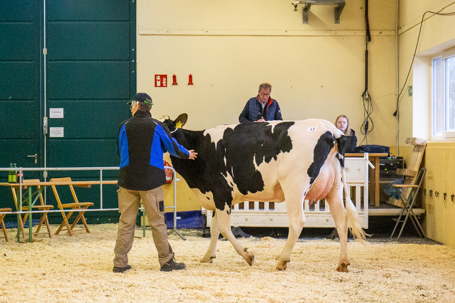 130 Färsen kommen unter den Hammer